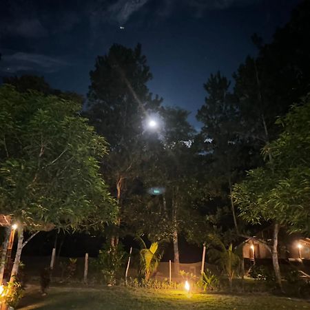Back Trippers Inn San Vicente  Εξωτερικό φωτογραφία